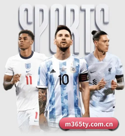五大服务分区,信息按项目分类（bet365app）