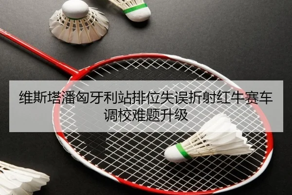 维斯塔潘匈牙利站排位失误折射红牛赛车调校难题升级